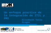 ITIL & PMI