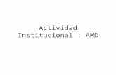 Actividad institucional AMD