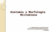 Clase 1. (1)microbiologia
