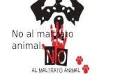 No al maltrato animal ten conciencia