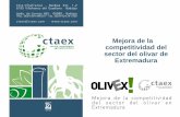 Proyecto "Mejora de la competitividad del Sector del Olivar en Extremadura" OLIVEX 2010