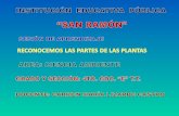 PresentacióN SesióN Partes De La Planta