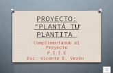 Proyecto: "Plantá tu Plantita"