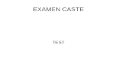 test caste