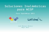 Wifidom Soluciones Wireless SpainWisp15