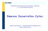 182387584 06-nuevos-desarrollos-cytec-m-palominos