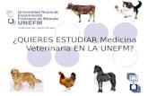 Quieres estudiar medicina veterinaria en la unefm