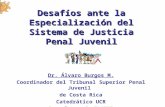 Desafíos ante la Especialización del Sistema de Justicia Dr. Alvaro Burgos