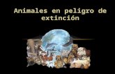 Animales en peligro de extinción ( resumen )