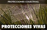 Protecciones Colectivas, Protecciones Vivas