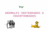Animales vertebraos e invertebrados