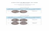 Colección de Monedas de Chile (Juan Saavedra V.)