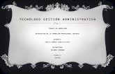 Tecnólogo gestión administrativa