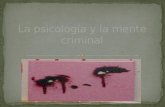 La psicología y la mente criminal