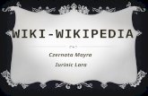 Wiki wikipedia-powerpoint