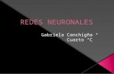 Redes Neuronales Computacion