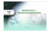 NEURONAS Y NEUROTRASMISORES