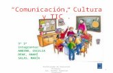 Comunicación, cultura y tic