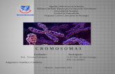 Richard Estanga. Tarea 03 Cromosomas