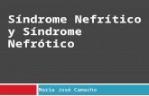 Síndrome nefrótico y síndrome nefrítico