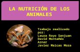 La nutrición de los animales, 2ºE Pablo Serrano