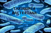 Sistematica bacterias