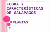 Flora y características de galápagos