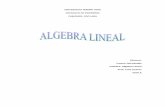 Trabajo  algebra lineal