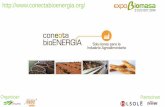 Valoración y aprovechamiento de co-productos del proceso oleícola en almazara OLIDUERO en Medina del Campo