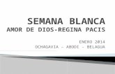 SEMANA BLANCA COLEGIO AMOR DE DIOS-REGINA PACIS 2014