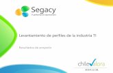 Levantamiento de perfiles de la Industria TI - Chile (Segacy - ACTI - ChileValora)