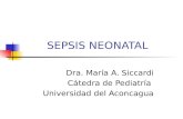 Sepsis neonatal 2012