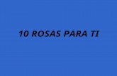 1 10 Rosas