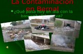 La Contaminación en Bernal