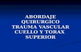 Lesion vascular torax, Dr. Ernesto Urroz A.