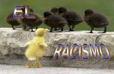 Racismo projecte de recerca