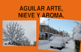 Aguilar arte, nieve y aroma