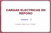 CARGAS ELECTRICAS EN REPOSO