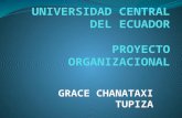 Grace Chanataxi Tupiza proyecto organizacional
