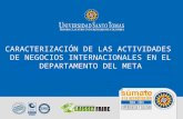 06 caracterización de las actividades de negocios internacionales en el dpto del meta (diana suarez)
