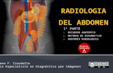 Radiología de abdomen 1a parte