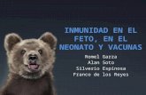 Inmunidad en el Feto y Neonatos, Vacunacion en Veterinaria