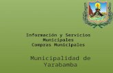 Información y servicios municipales