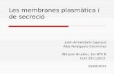 Les membranes plasmàtica i de secreció