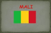 Mali En Ciclo Inicial   Final