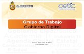 CETIC Guerrero- Gobierno Digital