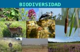 A21 biodiversidad