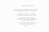 1996   Los Objetos y la Permeabilidad Cultural - Aplicacion en la Cultura Arhuaca