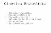 1. cinética enzimática
