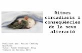 ritmes circadiaris